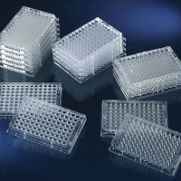 Corning 细胞培养瓶 25c㎡ 密封培养瓶