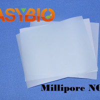Millipore NC膜 0.45u 柏奥易杰分装