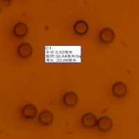 核孔膜