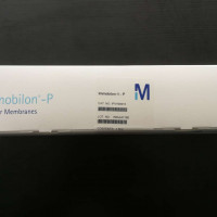 IPVH00010 Immobilon-P 卷膜，PVDF，