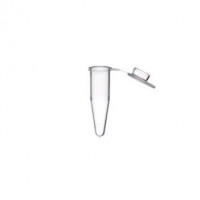 PCR管，0.2ml，平盖，自然，1000个/盒