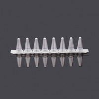 0.1/0.2mLPCR8连管盖一体，透明
