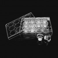 14221 细胞培养小室，含12孔板（PC膜，12mm，孔