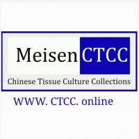 猪外周血单个核细胞（PBMC）永生化
