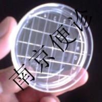 供应一次性无菌塑料培养皿 检验耗材 品种齐全 优惠销售