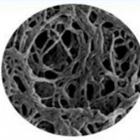 NM90 Agarose Heparin 亲和层析介质 琼脂