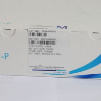 Millipore 转印膜PVDF 0.45um trans