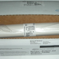 BioTrace™ NT Nitrocellulose Tr