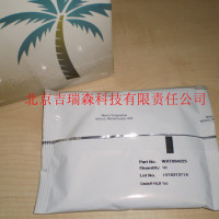 Oasis HLB固相萃取柱6cc/200mg货号WAT10