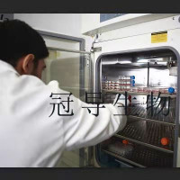 2106LN Cell;2106LN细胞系(STR鉴定图谱)