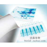 IPVH00010 Immobilon-P 卷膜，PVDF，