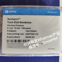 Whatman 10419504  19mm/0.1um 聚