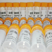 德之瑞薄层色谱点样专用定量毛细管
