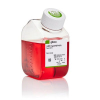 Gibco胰蛋白酶-EDTA 25200072