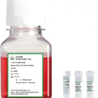 新品试用-巨核细胞（MK）/血小板（PLT）诱导分化试剂盒