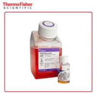 Gibco 10639011 StemPro-34 SFM