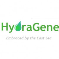 Hydragreen™安全DNA染料，20000X in w