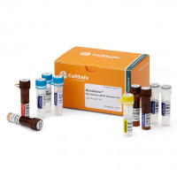 MycoQsearch Mycoplasma qPCR De