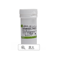 IV型胶原酶，粉末状