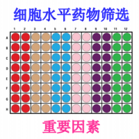 药物筛选稳定细胞株