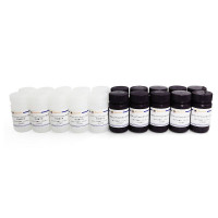 CellTiter-Lumi™ Steady II发光法细胞