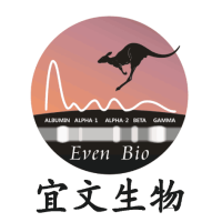 牛血清白蛋白-无蛋白酶