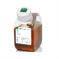 Gibco™Fetal Bovine Serum, qual