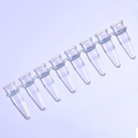 PCR 八联管