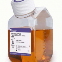 KnockOut™ Serum Replacement ,1
