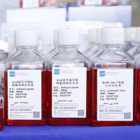 LLC+GFP 细胞专用培养基/LLC/GFP细胞| 镜像绮