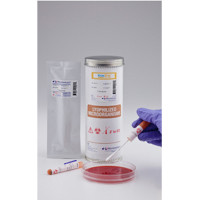 肺炎支原体 ATCC® 15531™*