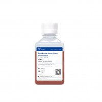 胎牛血清 Fetal Bovine Serum, Prime