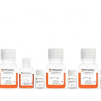 人肝类器官试剂盒HepatiCult Organoid Ki