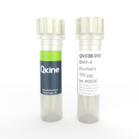 Qkine细胞因子 重组人BMP-4 protein（骨形态