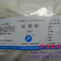 琼脂粉