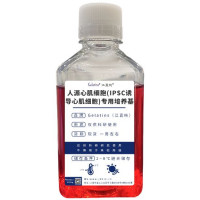 人源心肌细胞(IPSC诱导心肌细胞)专用培养基