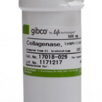 胶原酶 I  Collagenase, Type I, po