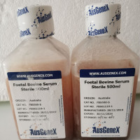 Ausgenex胎牛血清现货