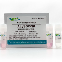 贝索细胞/CSTI |  NK 高效诱导培养试剂ALyS50