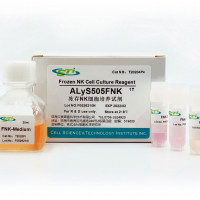 贝索细胞/CSTI  |  冻存NK细胞培养试剂ALyS50
