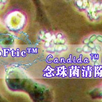 Candida™ Rid（念珠菌清除剂）