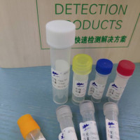 BIOTIN-山羊抗小鼠IgA