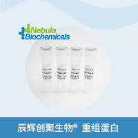 PD-L1蛋白 , Human PD-L1 Protein