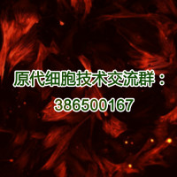人肝星状细胞 （技术服务）