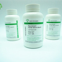 干细胞培养添加物-植物源HSA