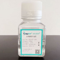 去外泌体胎牛血清