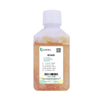 LuxCell乐赛 特优级胎牛血清—C+A环境生产（GMP合