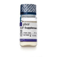 Gibco B27添加剂17504044