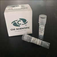 FibrOut™成纤维抑制剂 （2025开学季优惠）抑制成纤