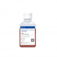 胎牛血清   Fetal Bovine Serum，Adva